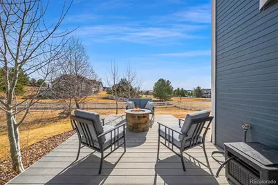 3529 Pine Meadow Avenue, Parker, CO 80138 - Photo 40