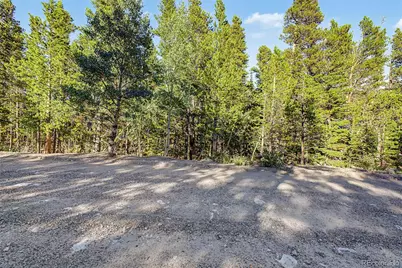 Elk Road, Idaho Springs, CO 80452 - Photo 4