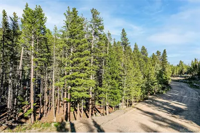 Elk Road, Idaho Springs, CO 80452 - Photo 8