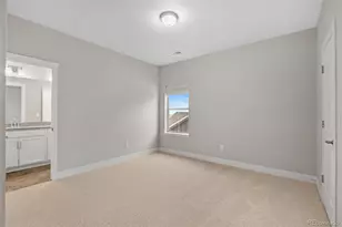 3351 Carabiner St, Castle Rock, CO 80108 - Photo 36