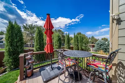 12963 Norway Maple Street, Parker, CO 80134 - Photo 46