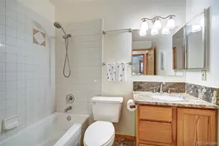 3824 Ski Hill Rd, Breckenridge, CO 80424 - Photo 28