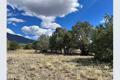 10 Brook Trout Road, Crestone, CO 81131 - Photo 10
