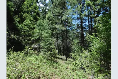 13175 Spruce Creek Circle, Larkspur, CO 80118 - Photo 8