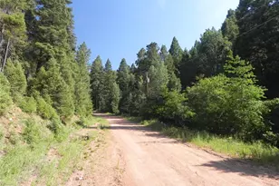 13175 Spruce Creek Cir, Larkspur, CO 80118 - Photo 1