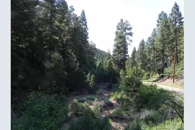 13175 Spruce Creek Circle, Larkspur, CO 80118 - Photo 10