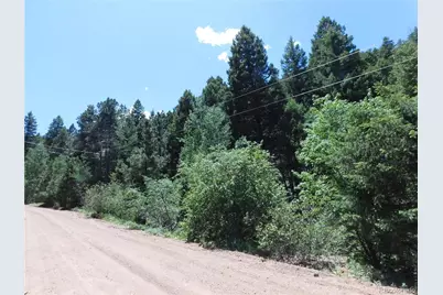 13175 Spruce Creek Circle, Larkspur, CO 80118 - Photo 24