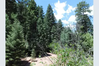 13175 Spruce Creek Circle, Larkspur, CO 80118 - Photo 16