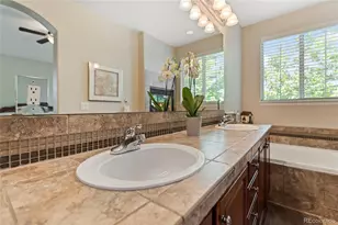 10064 Bluffmont Ct, Lone Tree, CO 80124 - Photo 20