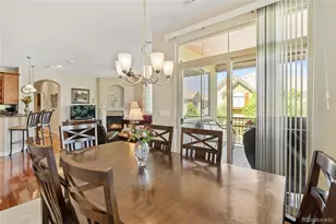 10064 Bluffmont Ct, Lone Tree, CO 80124 - Photo 10