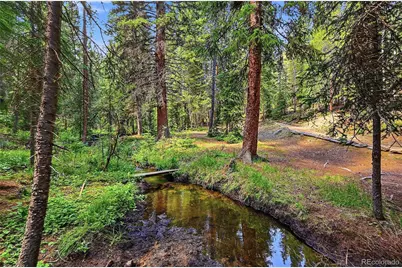 907 Hefferman Gulch Road, Idaho Springs, CO 80452 - Photo 8