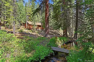 907 Hefferman Gulch Rd, Idaho Springs, CO 80452 - Photo 2