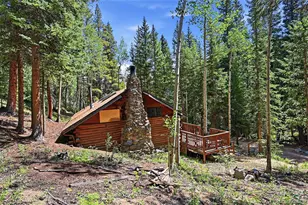 907 Hefferman Gulch Rd, Idaho Springs, CO 80452 - Photo 22