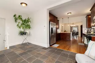 243 S Downing St, Denver, CO 80209 - Photo 20