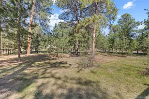 7186 Julie Ln, Evergreen, CO 80439 - Photo 46