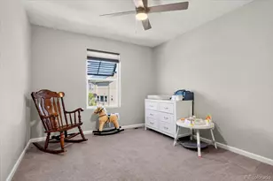 17444 Olive St, Broomfield, CO 80023 - Photo 26