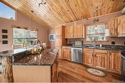28 Juniper Way, Bailey, CO 80421 - Photo 4