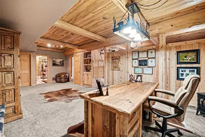 28 Juniper Way, Bailey, CO 80421 - Photo 14