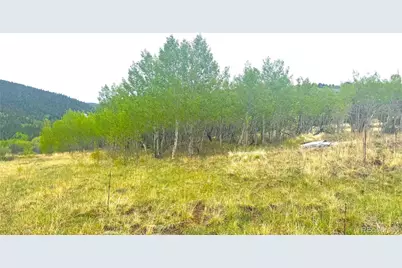 0003 Eureka St, Central City, CO 80427 - Photo 22