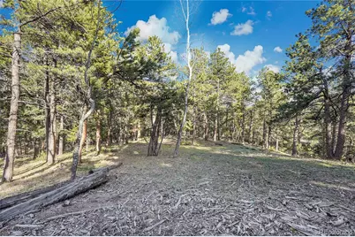 Molly Dr, Lot #3, Conifer, CO 80433 - Photo 10
