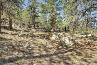 16050 Oppliger Drive, Nathrop, CO 81236 - Photo 48