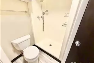 954 S Miller St, Denver, CO 80226 - Photo 8