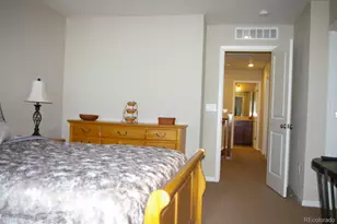 2811 Summer Day Ave, Castle Rock, CO 80109 - Photo 14