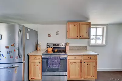 520 Chestnut Street, Leadville, CO 80461 - Photo 20