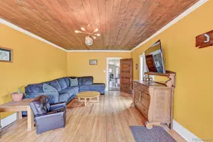 520 Chestnut St, Leadville, CO 80461 - Photo 6
