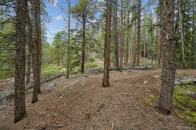 001 Fall River Road, Idaho Springs, CO 80452 - Photo 12