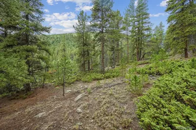 001 Fall River Road, Idaho Springs, CO 80452 - Photo 8