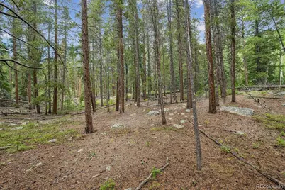 001 Fall River Road, Idaho Springs, CO 80452 - Photo 4
