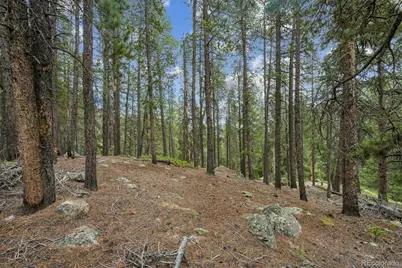 001 Fall River Road, Idaho Springs, CO 80452 - Photo 10