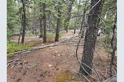 1844 High Creek Road, Fairplay, CO 80440 - Photo 22