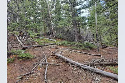 1844 High Creek Road, Fairplay, CO 80440 - Photo 8