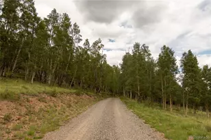 1001 County Rd 17, Lake City, CO 81235 - Photo 24