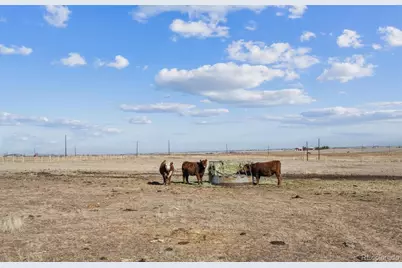 43251 E Iliff Trail, Bennett, CO 80102 - Photo 36
