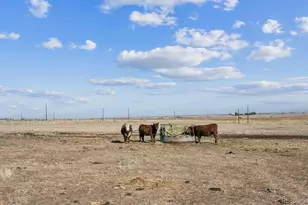 43251 E Iliff Trail, Bennett, CO 80102 - Photo 36