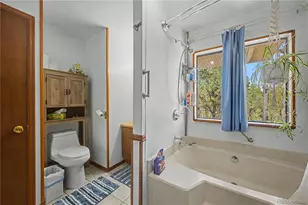 539 12th Trail, Cotopaxi, CO 81223 - Photo 28