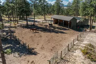 854 N Russellville Rd, Franktown, CO 80116 - Photo 8