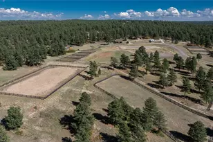 854 N Russellville Rd, Franktown, CO 80116 - Photo 6