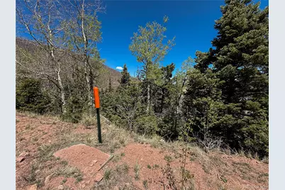 2348 Benton Place, Fort Garland, CO 81133 - Photo 8