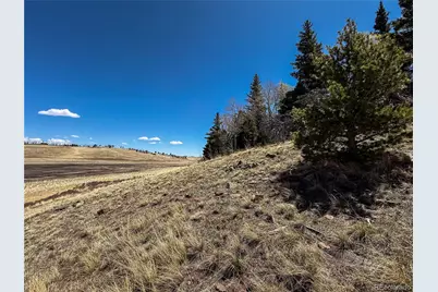 2348 Benton Place, Fort Garland, CO 81133 - Photo 20