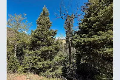 2348 Benton Place, Fort Garland, CO 81133 - Photo 10