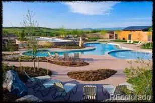 10480 Skyreach Rd, Highlands Ranch, CO 80126 - Photo 28