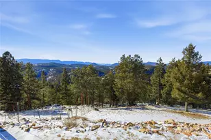 819 Hi Meadow Dr, Bailey, CO 80421 - Photo 40