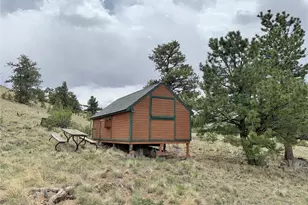 0000 Crazy Horse Trail, Hartsel, CO 80449 - Photo 4