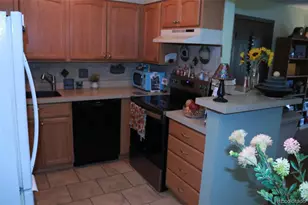331 Wright St, Denver, CO 80228 - Photo 8