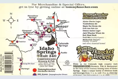 Philidelphia Silver Star, Idaho Springs, CO 80452 - Photo 10