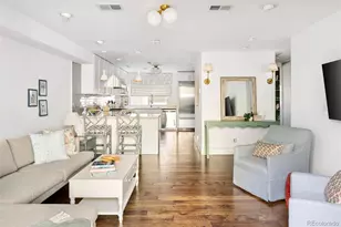 483 Columbine St, Denver, CO 80206 - Photo 8